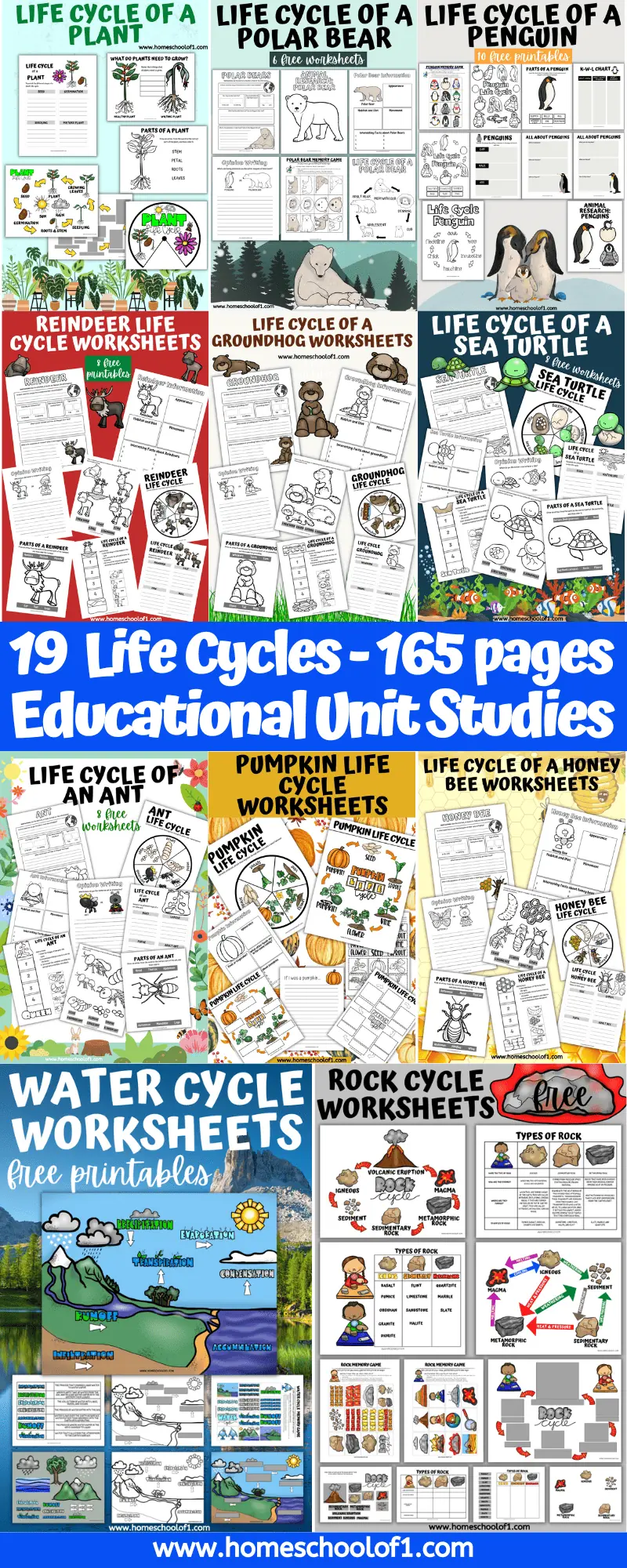 life cycles product