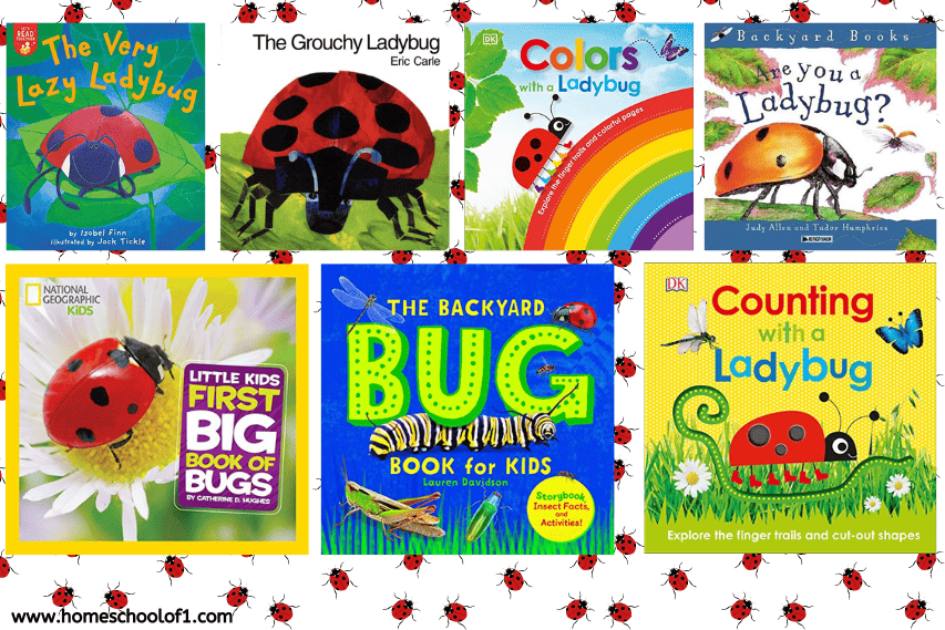 LADYBUG BOOKS FOR KIDS