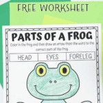 PARTS OF FROG WORKSHEET