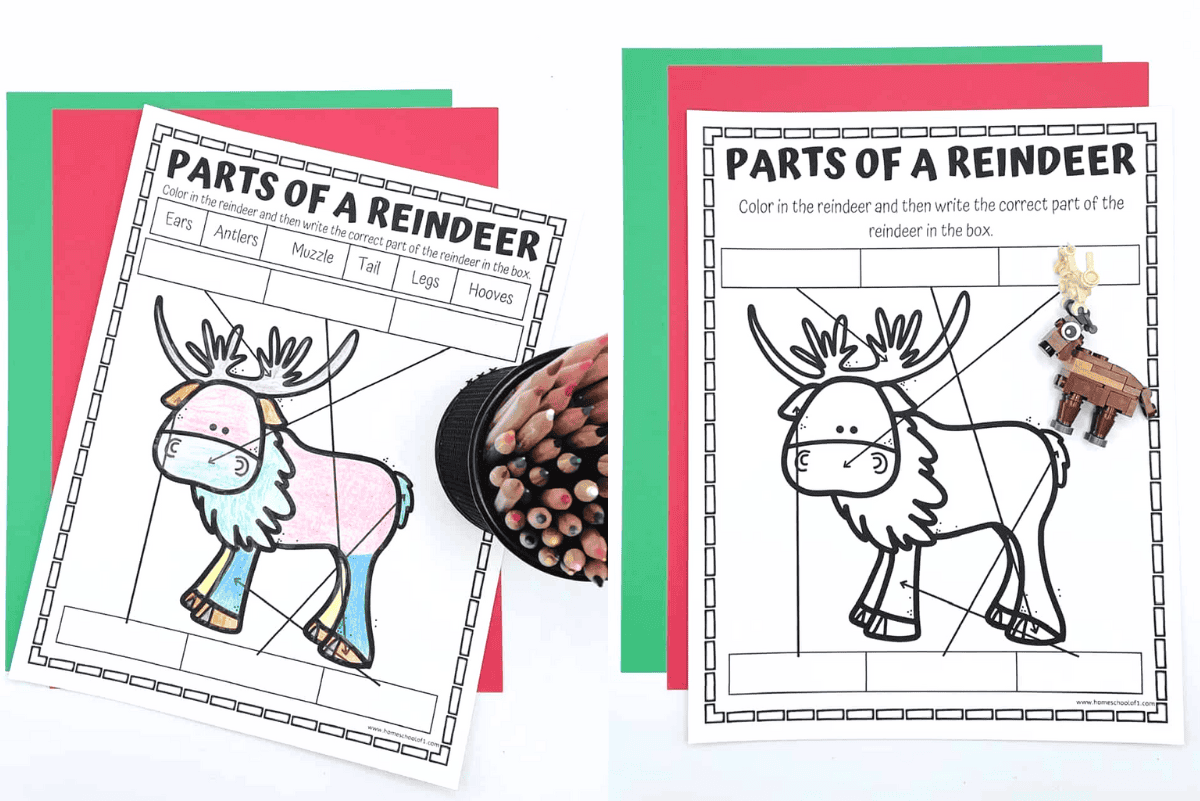 Two printable parts of a reindeer worksheets shown side by side—one colored, one blank—with colored pencils and a LEGO reindeer nearby.