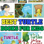 best turtle books for preschoolers