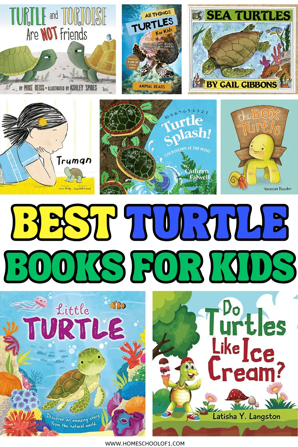 best turtle books for preschoolers