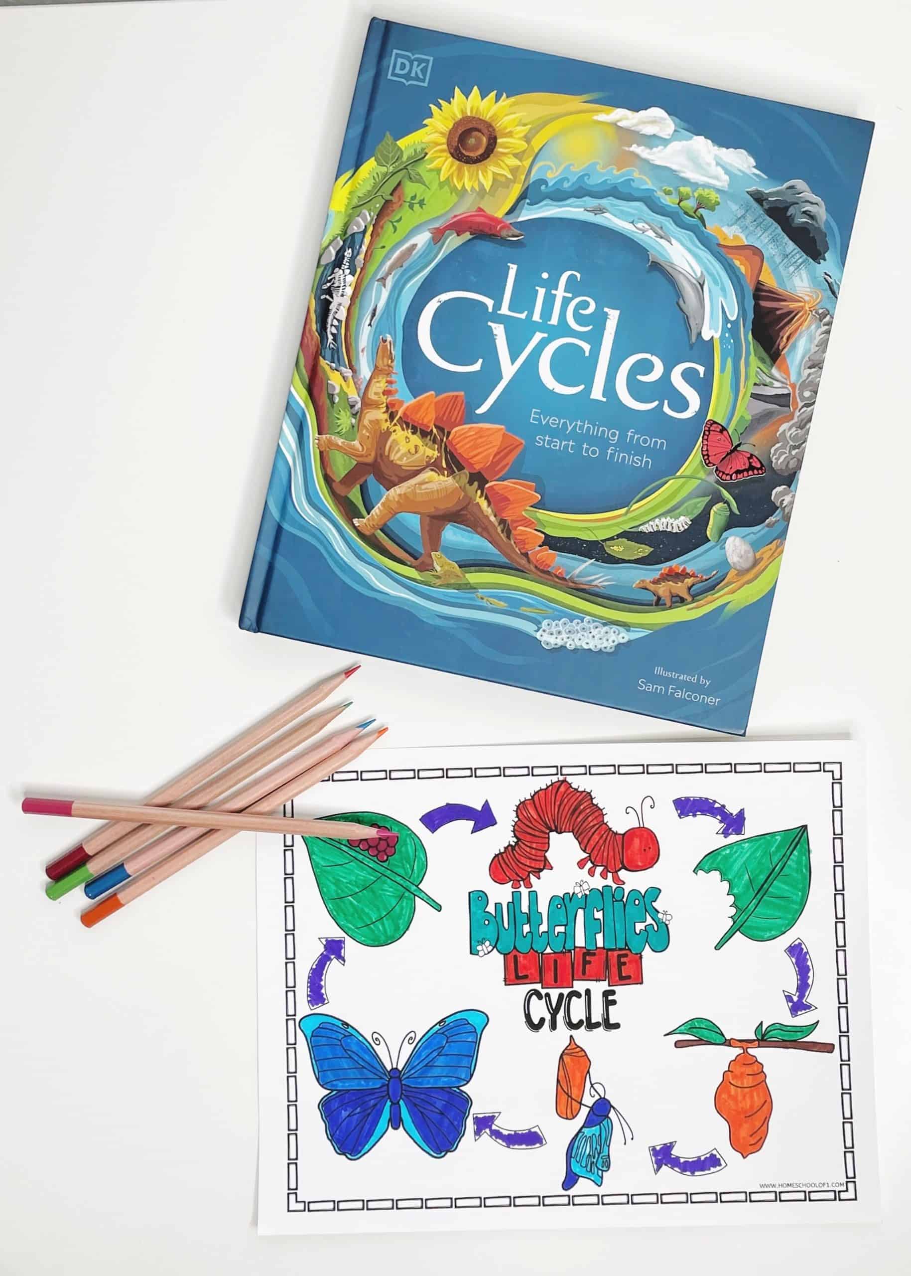 butterfly life cycle coloring page and book