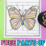 free parts of a butterfly worksheet