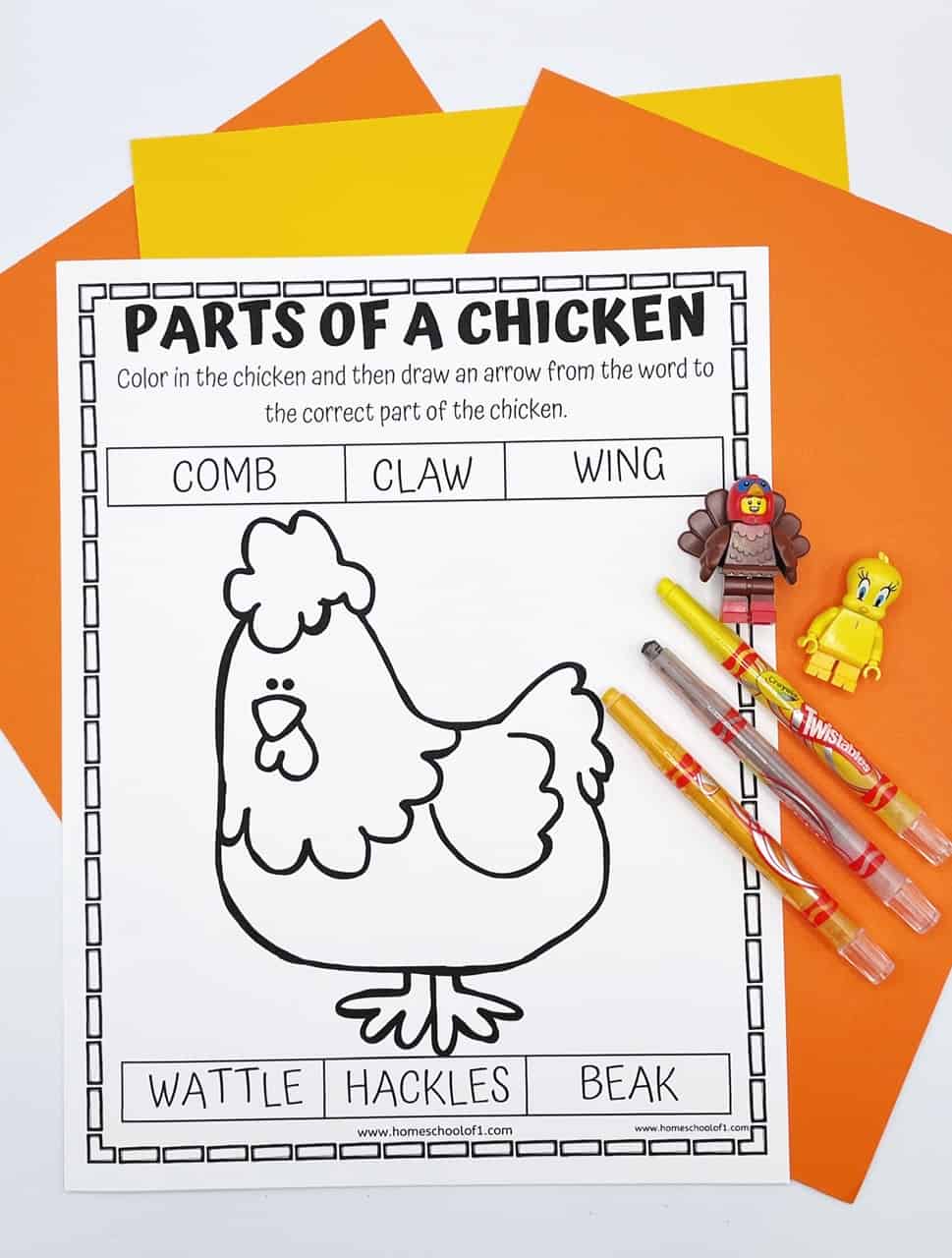 parts of a chicken coloring page with the boxes filled out so the kids can draw arrows to the correct anatomy. 