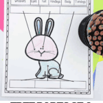 Parts of a rabbit worksheet showing labeled diagram activity for kids to write in rabbit body parts like eyes, tail, and legs.
