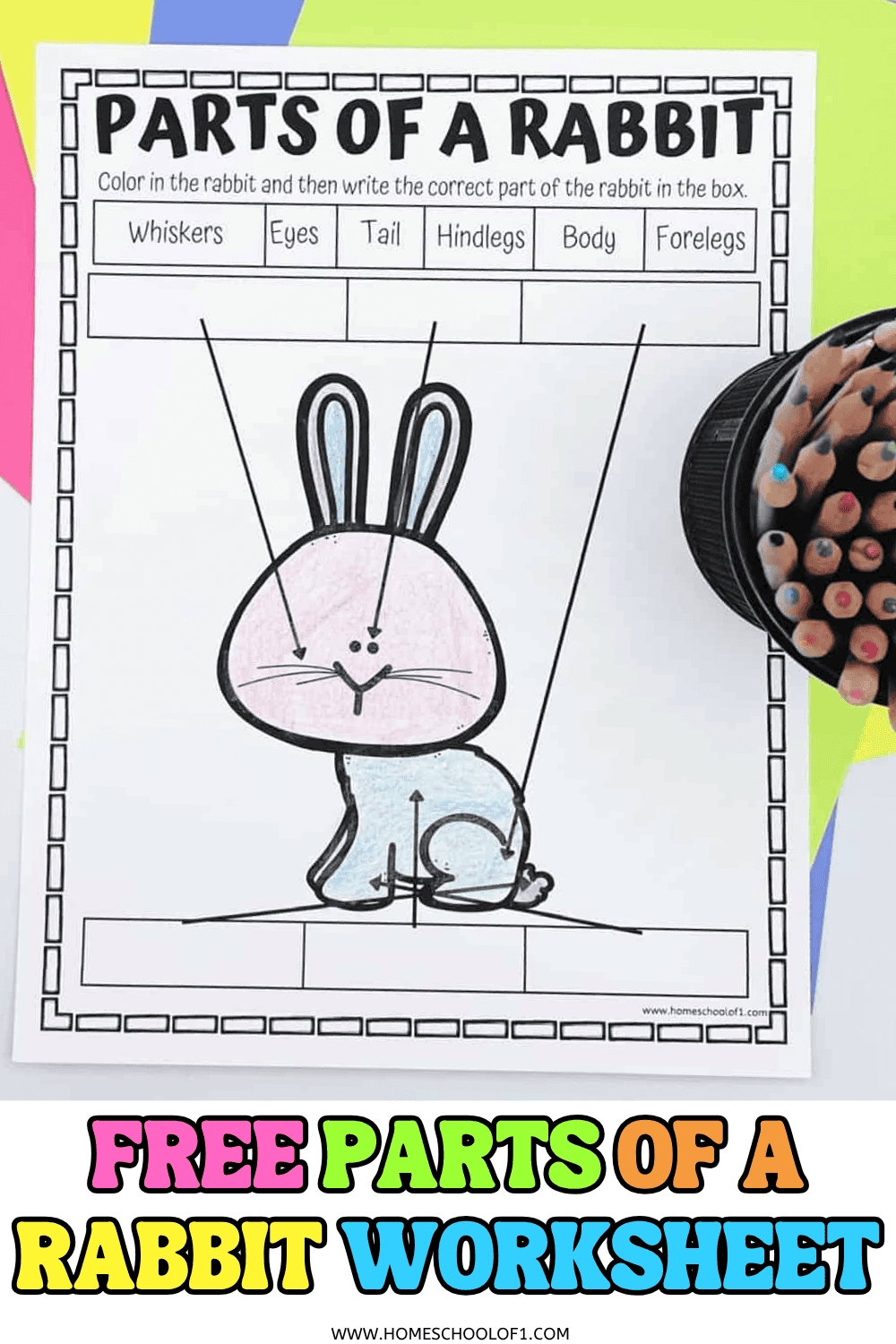 Parts of a rabbit worksheet showing labeled diagram activity for kids to write in rabbit body parts like eyes, tail, and legs.

