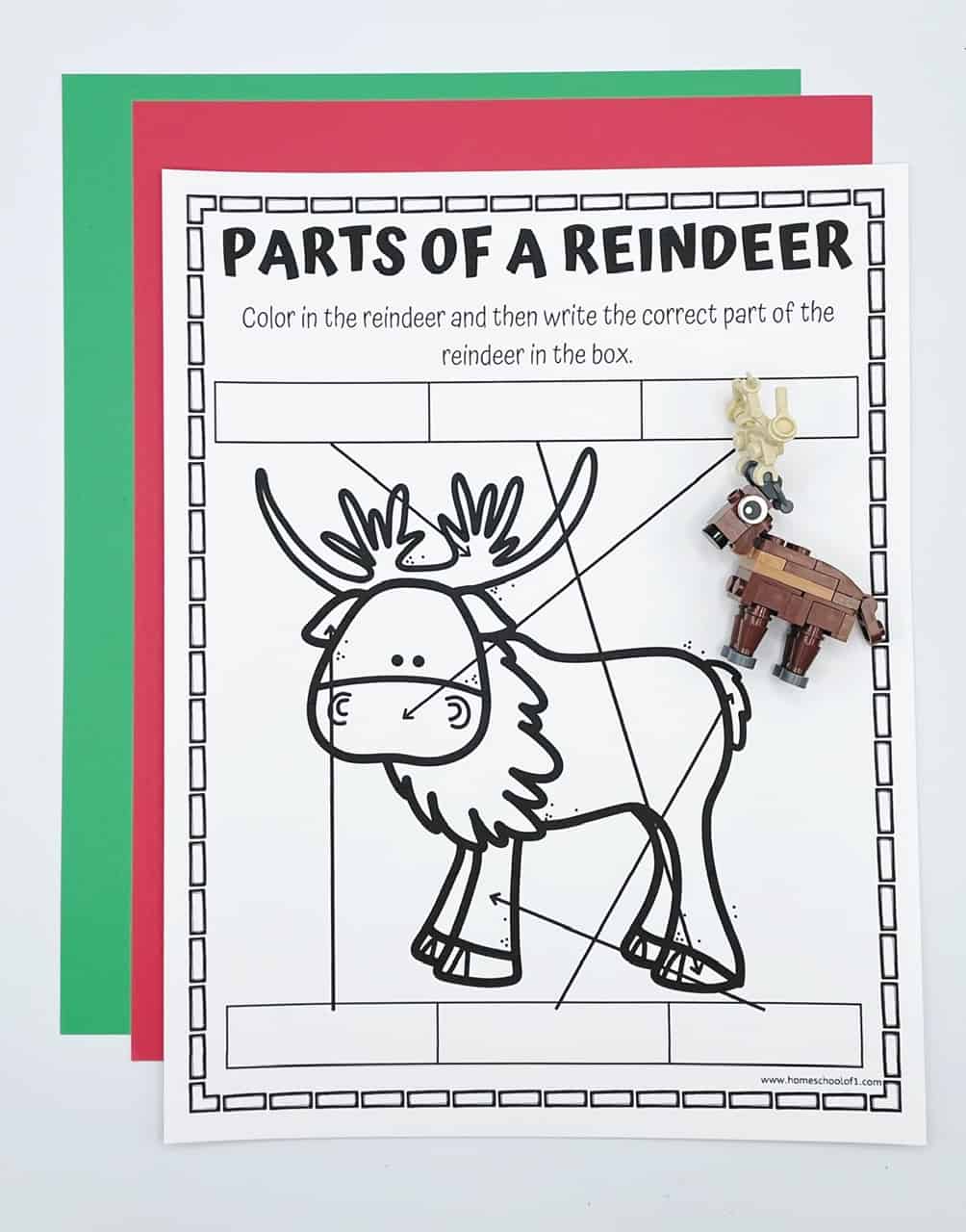 free parts of a reindeer worksheet