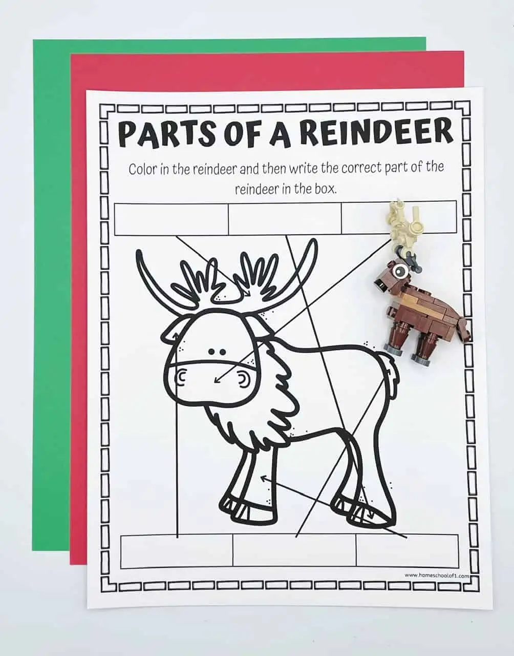 free parts of a reindeer worksheet