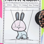 Parts of a rabbit worksheet with a bunny and a bunny.