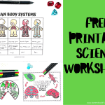 free printable science worksheets
