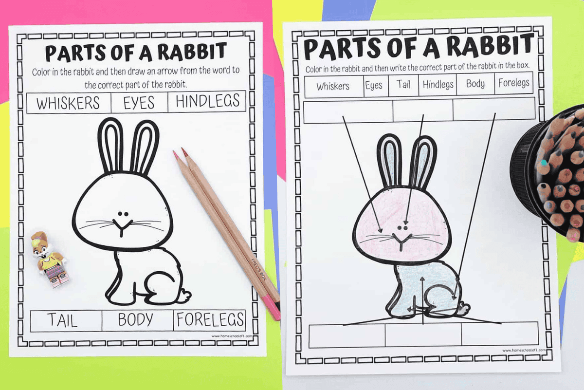 Two printable parts of a rabbit worksheets for kids to label and color, featuring arrows and word boxes for easy learning.