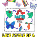 Coloring page showing the life cycle of a butterfly with labeled stages and bright crayon colors, surrounded by Crayola crayons and cutout butterflies.