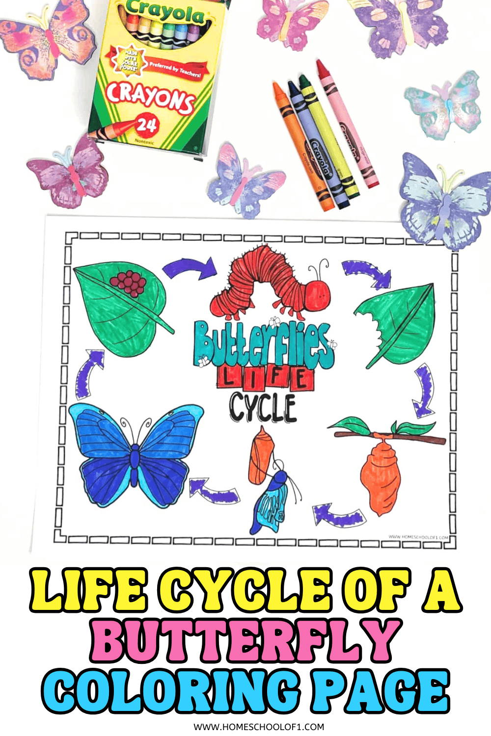 Coloring page showing the life cycle of a butterfly with labeled stages and bright crayon colors, surrounded by Crayola crayons and cutout butterflies.
