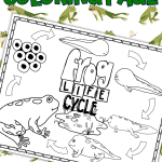 life cycle of a frog coloring page
