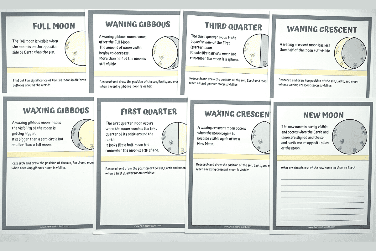Free Phases of the Moon Worksheet for Kids