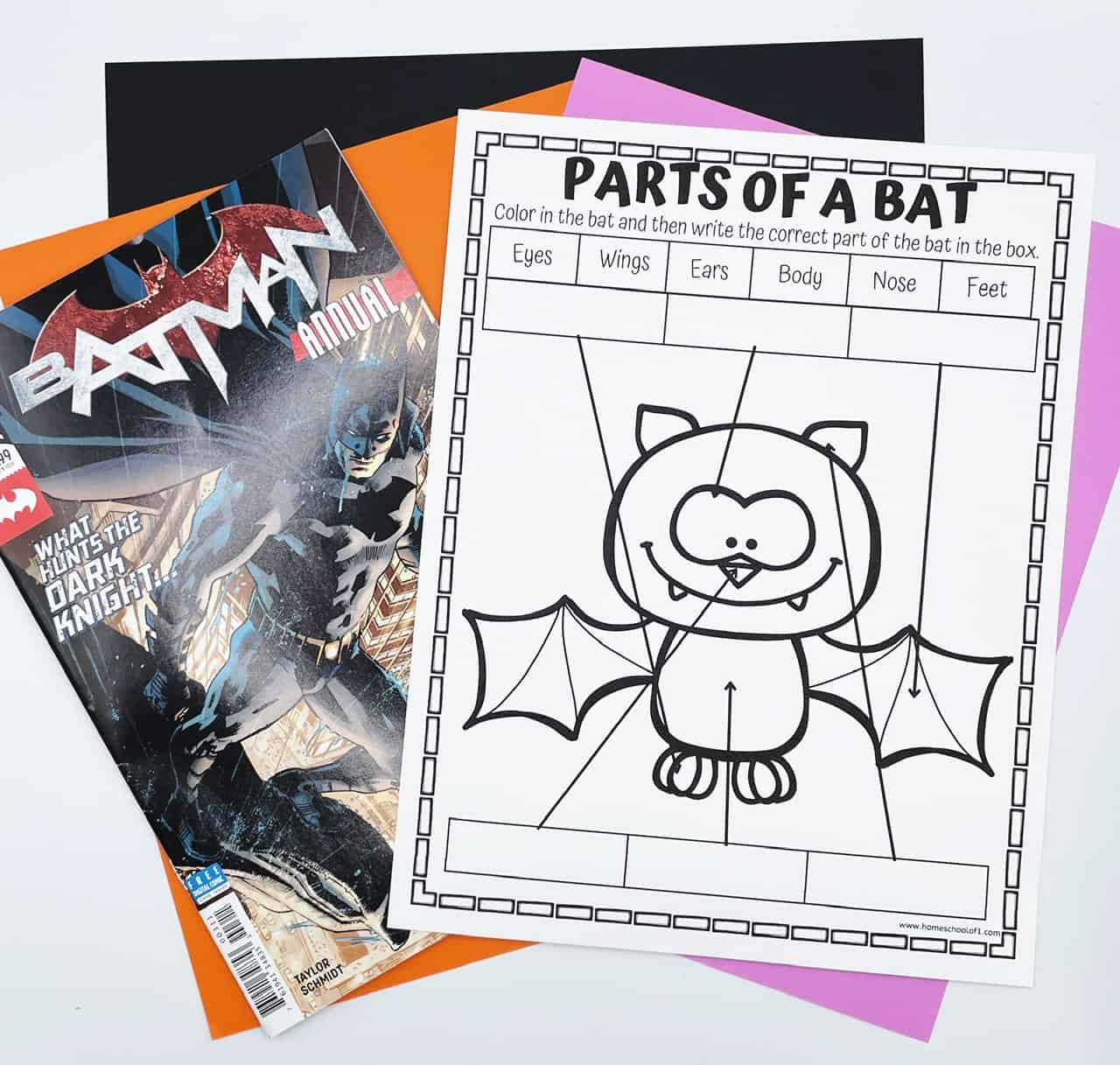 parts of a bat labeling