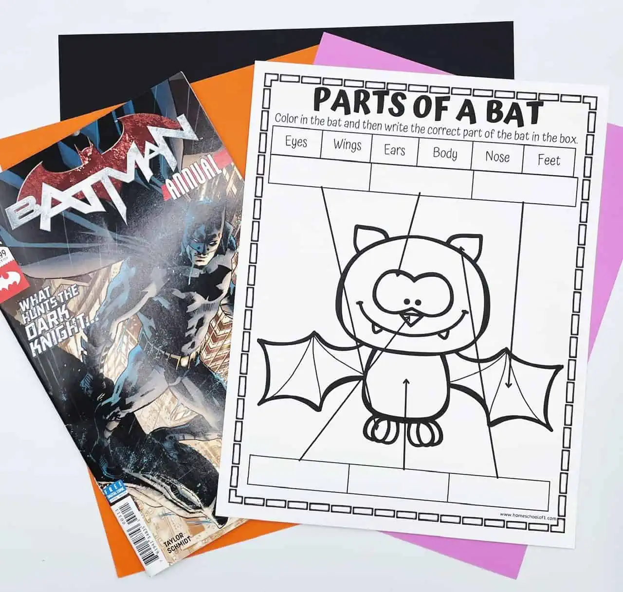 parts of a bat labeling