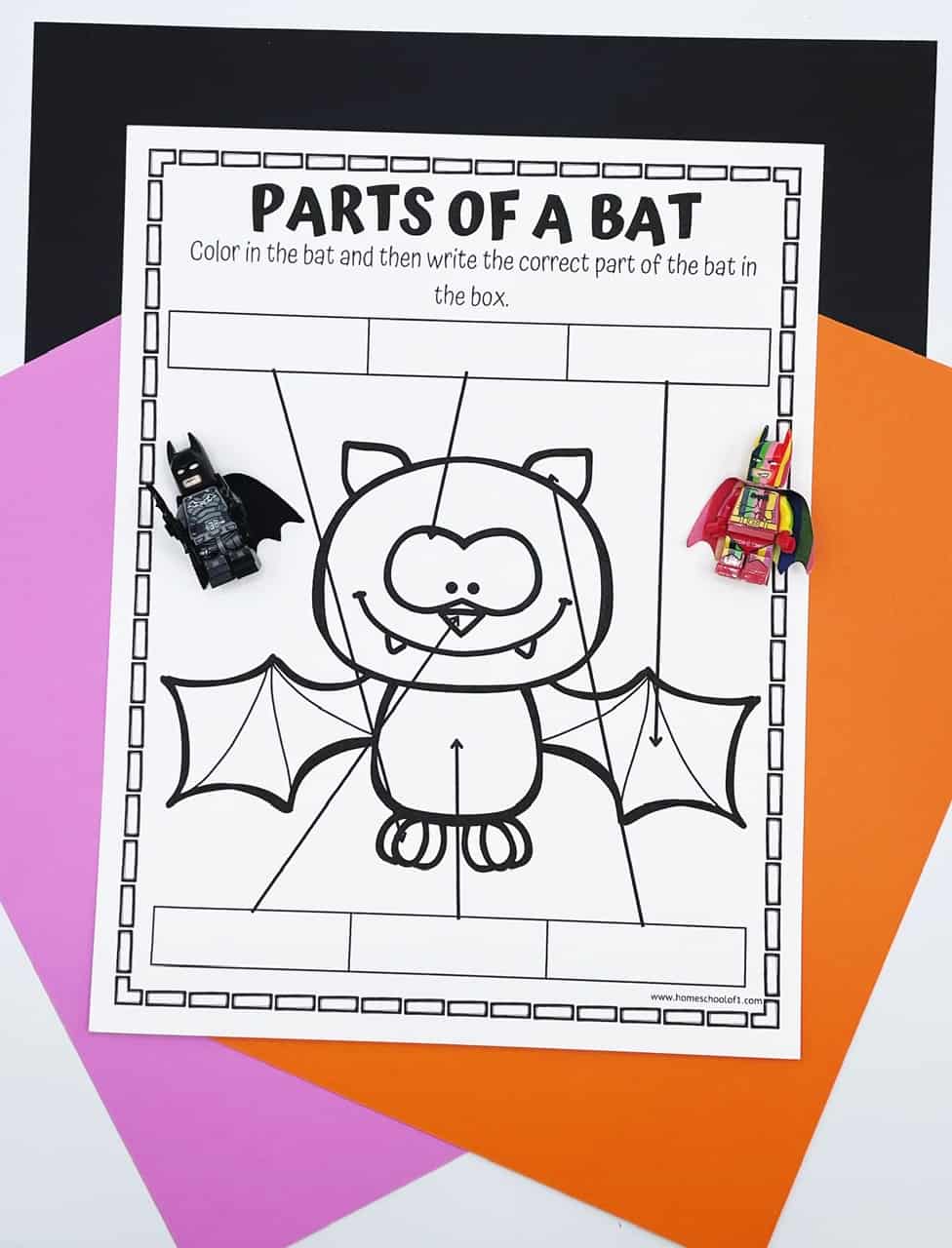 parts of a bat printable