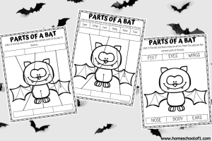 17 Free Printable Bat Worksheets For Kids