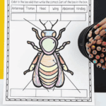 A printable worksheet titled "Parts of a Bee" features a large, colorful bee illustration with arrows pointing to its body parts. Boxes above the bee list the parts to be labeled: Antennae, Thorax, Head, Wing, Abdomen, and Hindleg. The instruction reads, "Color in the bee and then write the correct part of the bee in the box."
