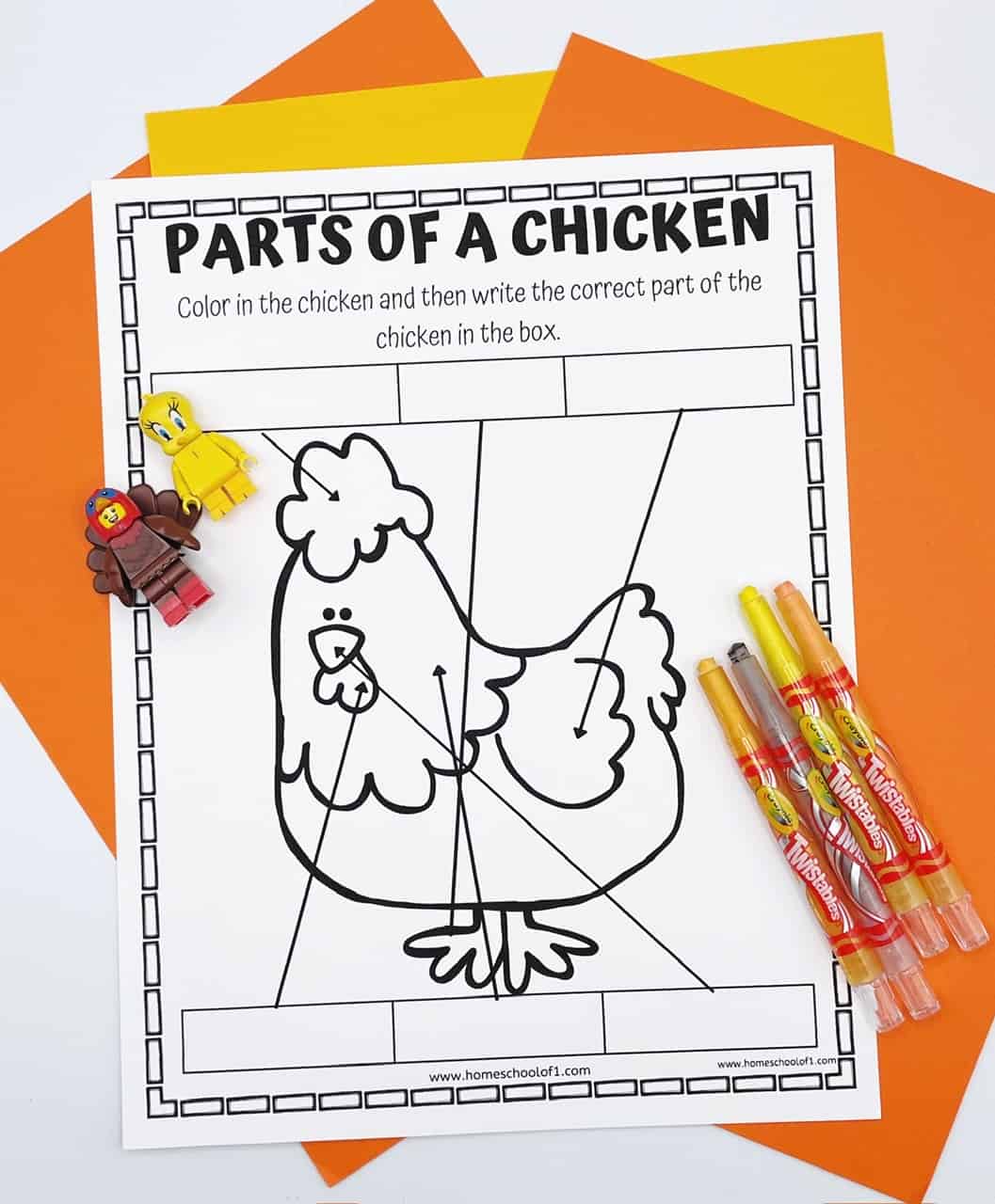 color in the chicken and then write the correct part of the chicken in the box. 