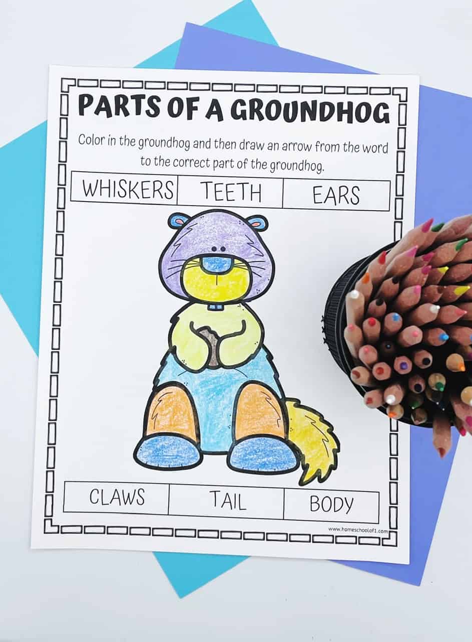 parts of a groundhog coloring page