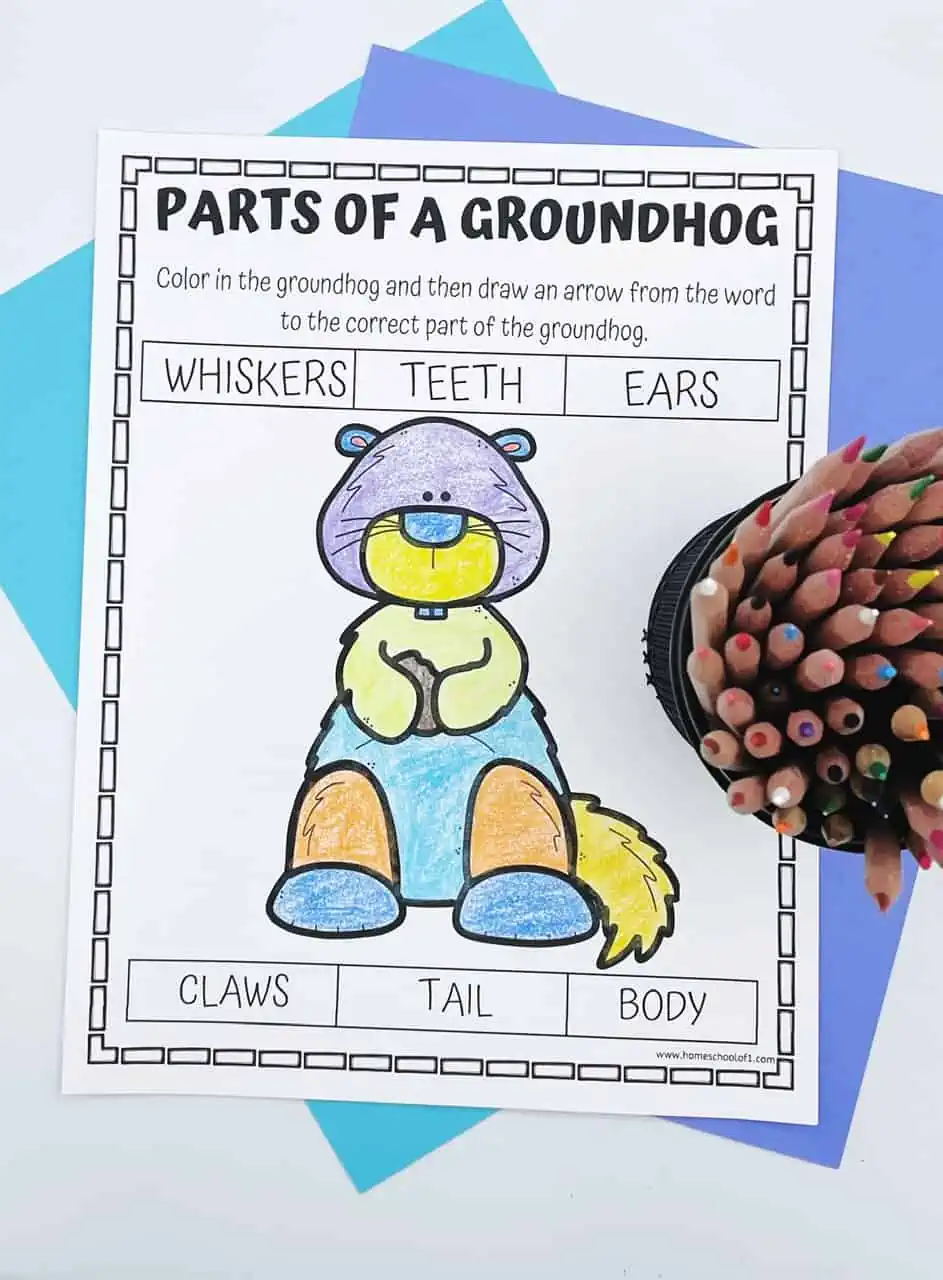 parts of a groundhog coloring page