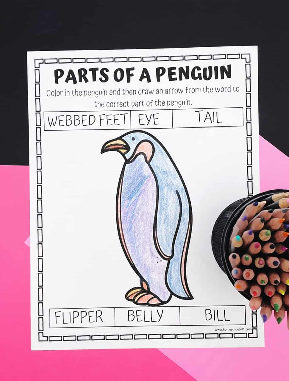"Parts of a Penguin" worksheet featuring a hand-colored penguin illustration with labeled boxes for webbed feet, eye, tail, flipper, belly, and bill. The activity instructs kids to draw arrows from the labels to the correct body parts. A cup of colored pencils sits nearby on a black and pink background.