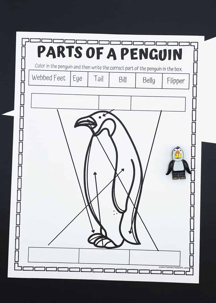 Black-and-white “Parts of a Penguin” worksheet featuring a labeled penguin diagram with arrows pointing to different body parts. The activity includes a word bank with terms like webbed feet, eye, tail, bill, belly, and flipper, and boxes for students to write the correct labels. A small penguin-themed LEGO minifigure is placed on the right side of the sheet.