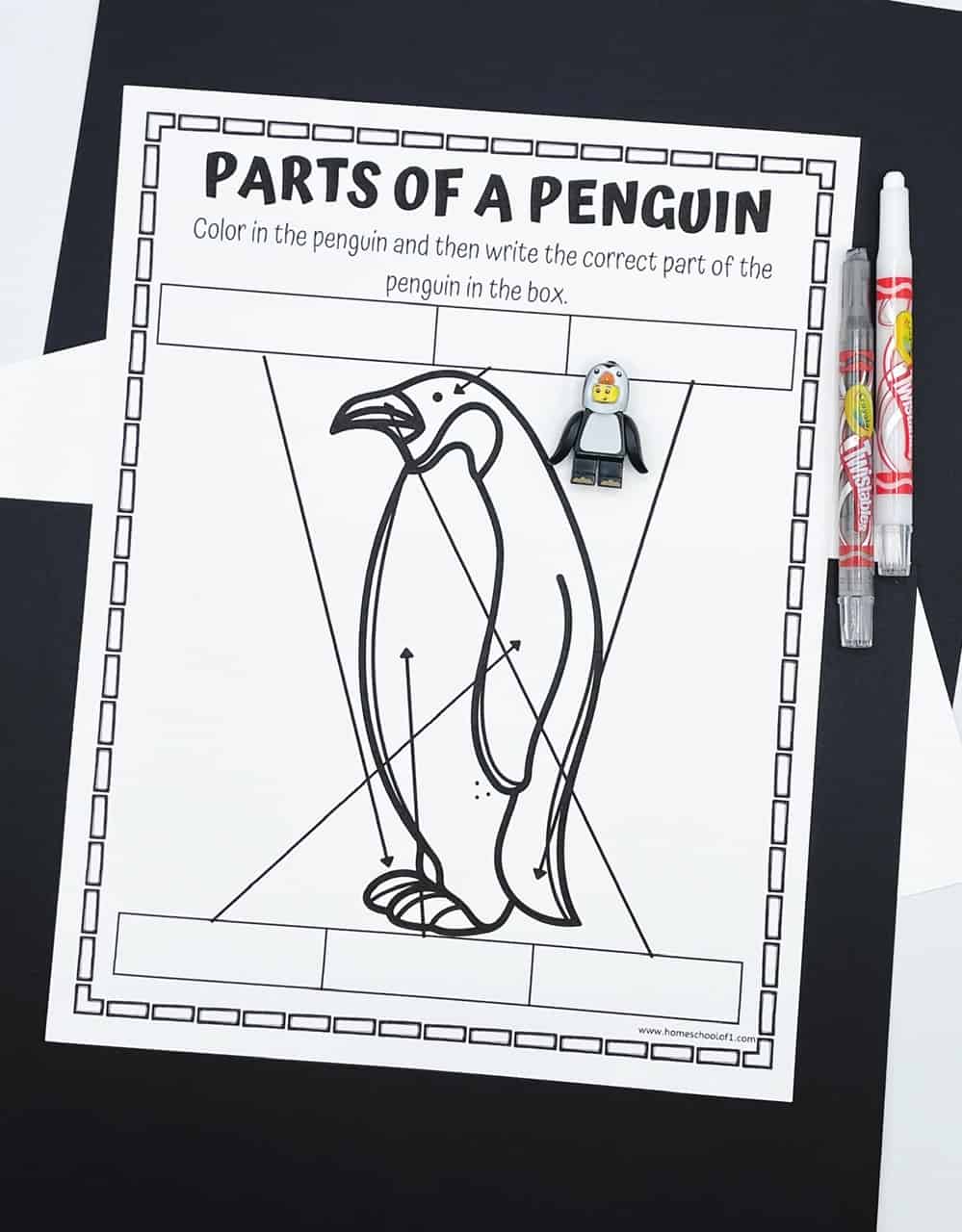 Unlabeled “Parts of a Penguin” worksheet featuring a black-and-white penguin illustration with arrows pointing to different body parts. The sheet includes blank boxes for students to fill in the correct terms. A small penguin LEGO figure and two colored pens are placed on the right side, all set on a black and white background.