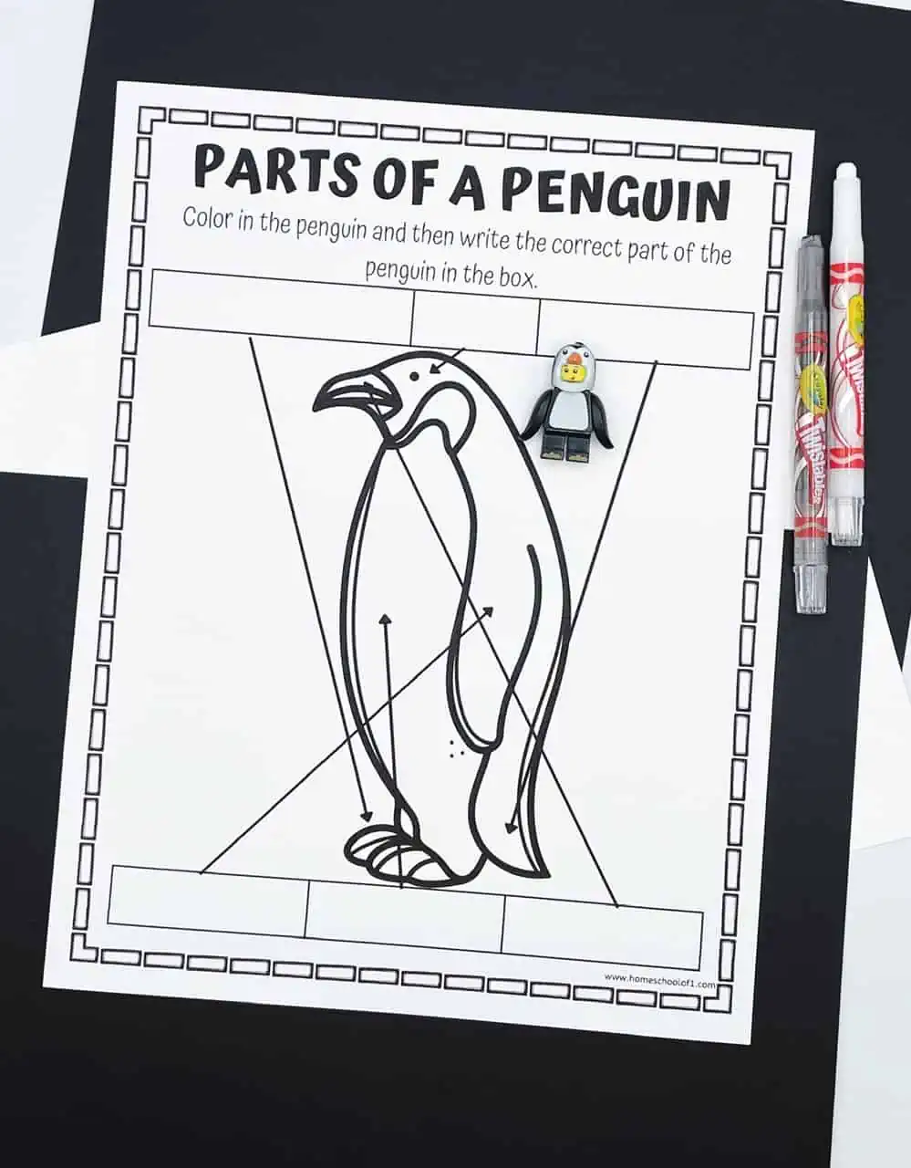parts of a penguin worksheets