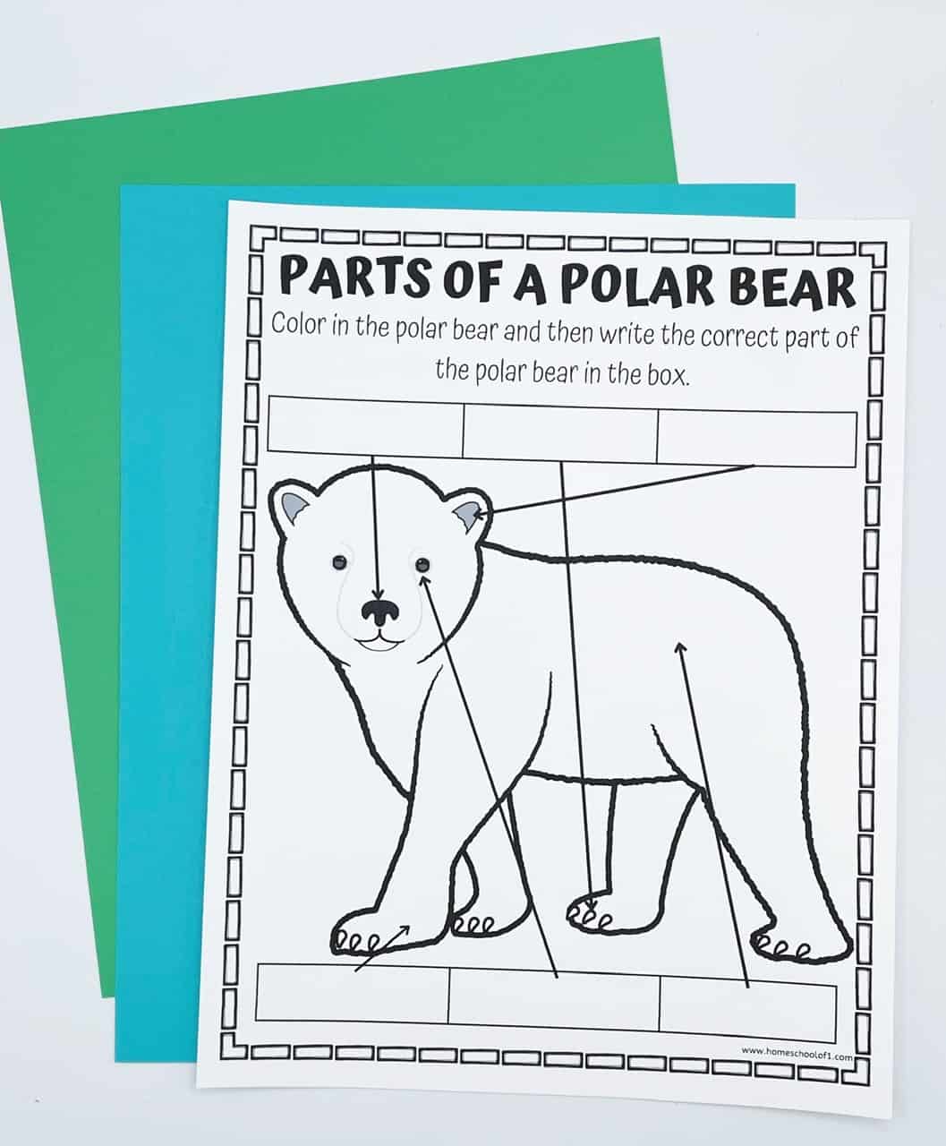 parts of a polar bear labeling worksheet