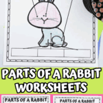 Parts of a rabbit worksheets bundle showing printable activities for kids to label rabbit body parts and practice early science skills.