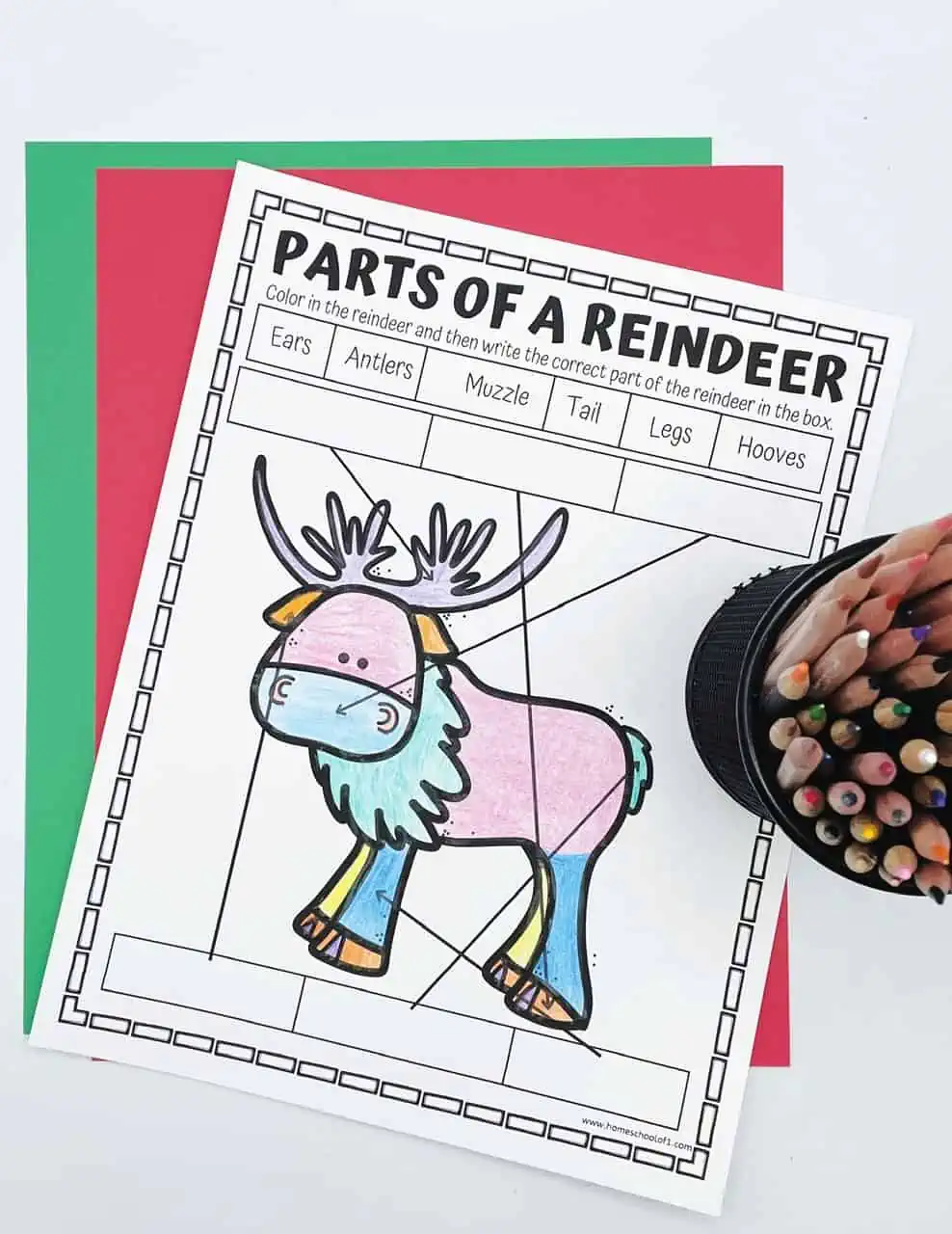 parts of a reindeer coloring page