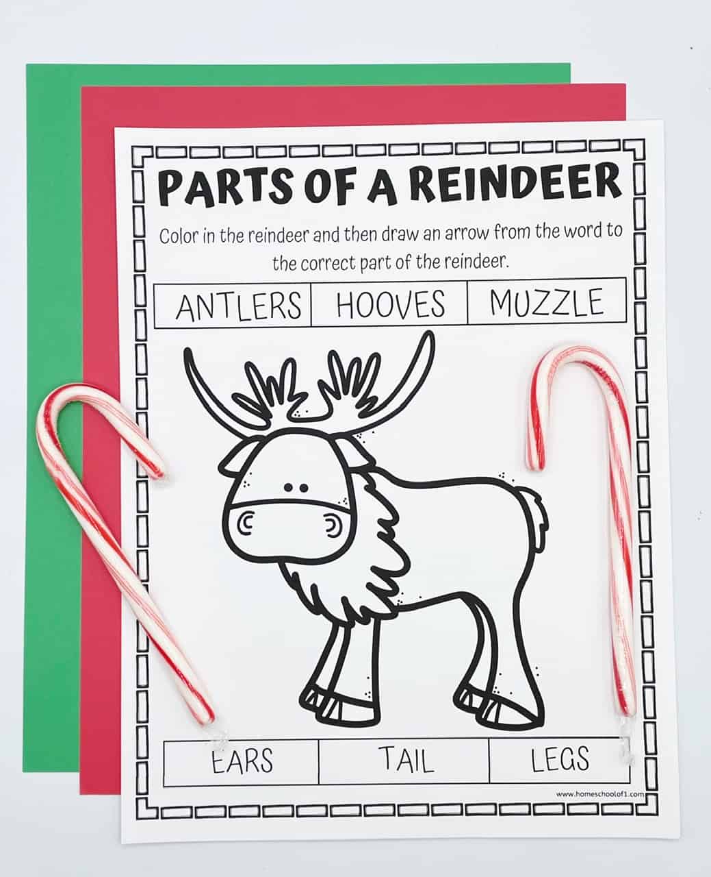 parts of a reindeer labeling worksheet
