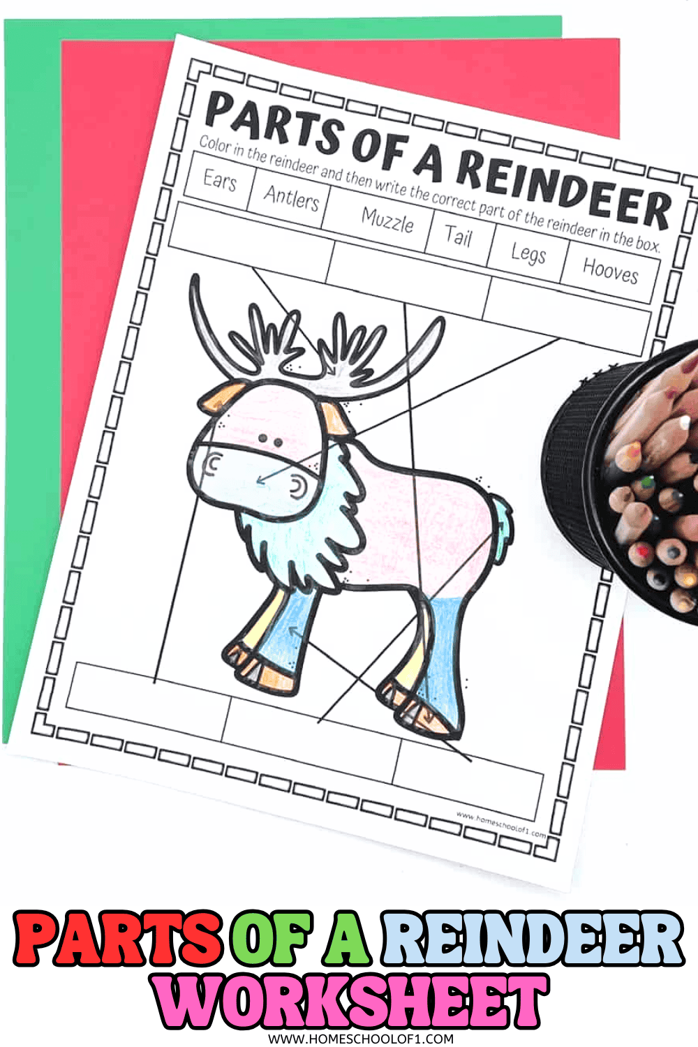 Colored parts of a reindeer worksheet placed on red and green paper with text overlay reading “Parts of a Reindeer Worksheet.”

