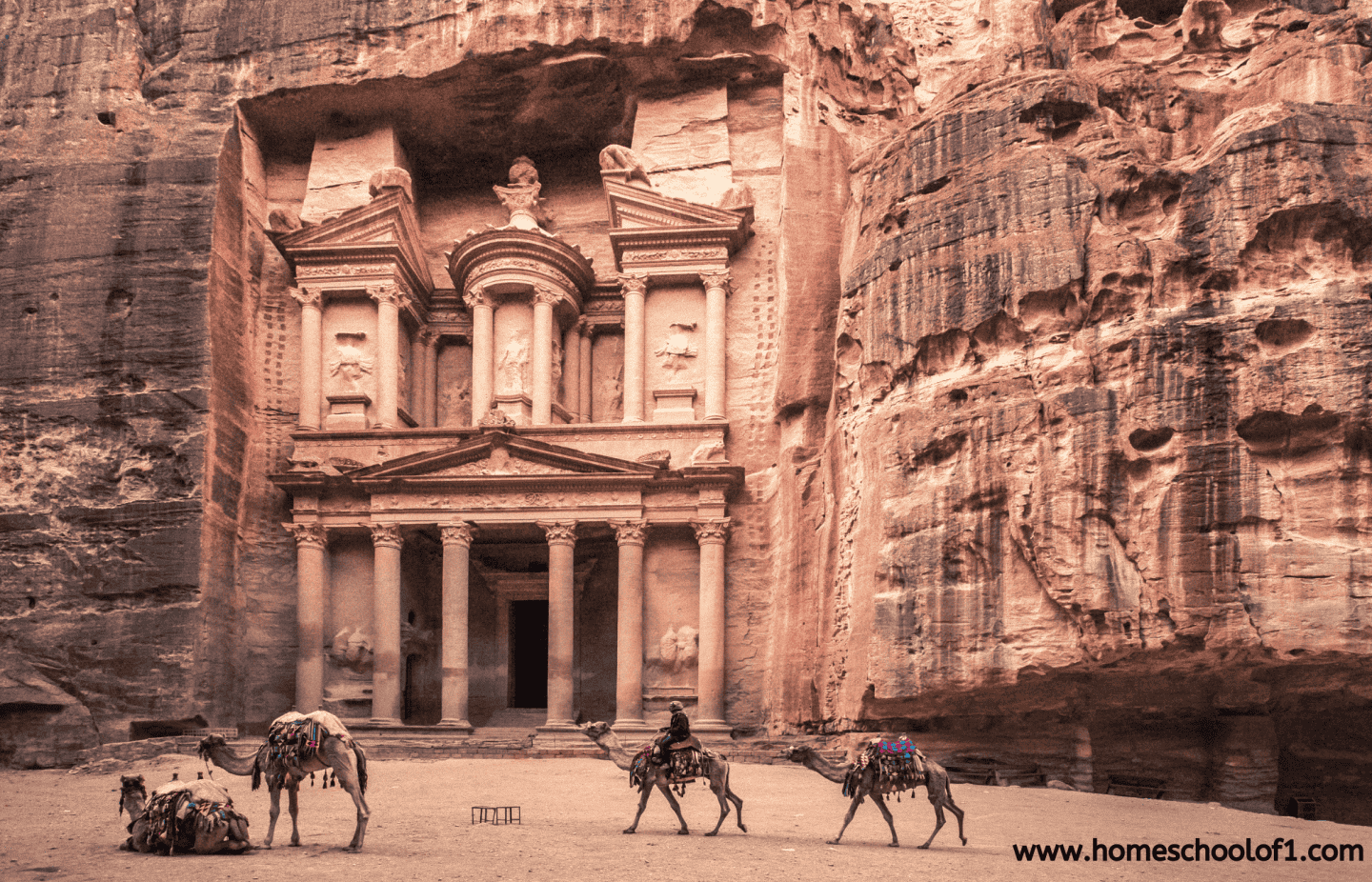 The Al-Khazneh temple in Petra, Jordan, carved into rose-colored rock cliffs, with three camels in the foreground—two resting and one being led by a rider. The scene captures the grandeur of the ancient Nabatean structure and the desert setting.