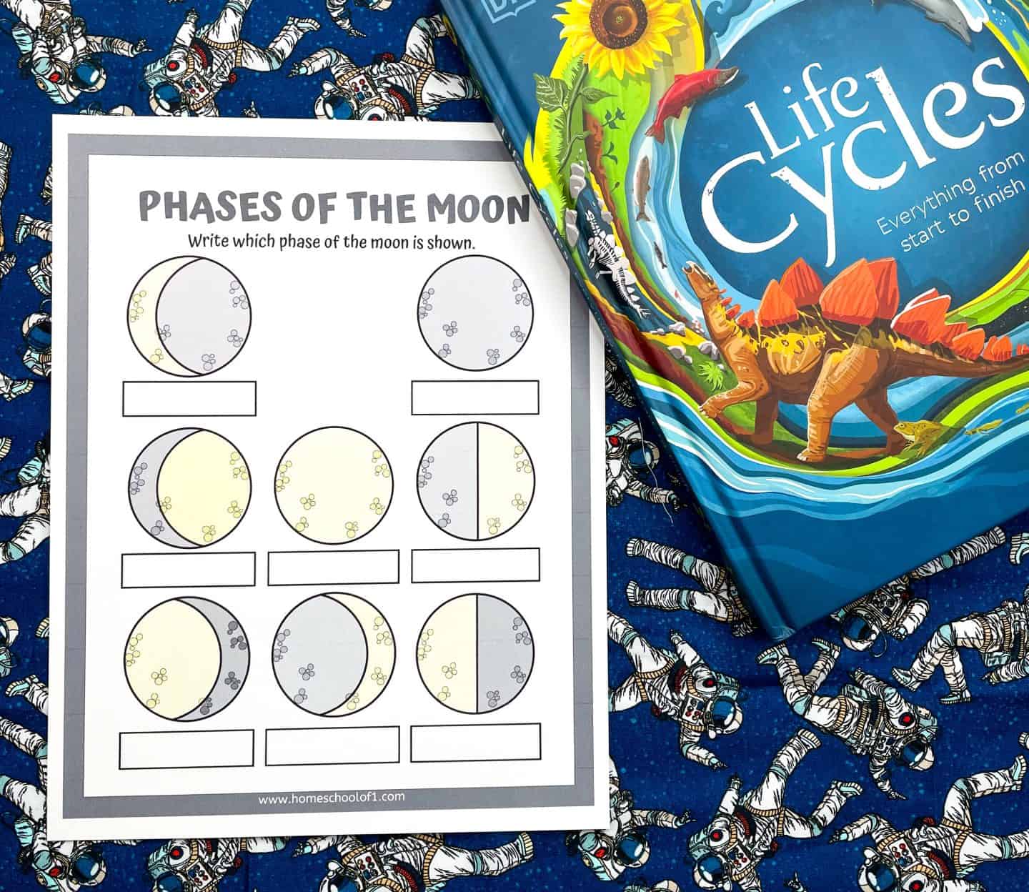 A moon phases worksheet placed on a dark blue background with astronaut illustrations, next to a colorful book titled Life Cycles: Everything from start to finish featuring a dinosaur, sunflower, and various animals. The worksheet displays eight moon phase diagrams in three rows, each with a blank box underneath for labeling phases such as new moon, full moon, and crescents.