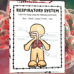 An educational worksheet depicting a cartoon figure with parts of the respiratory system to be labeled. The word bank at the top includes Nose, Mouth, Larynx, Trachea, and Lung.