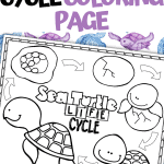 sea turtle life cycle coloring page (2)