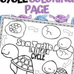 sea turtle life cycle coloring page (2)