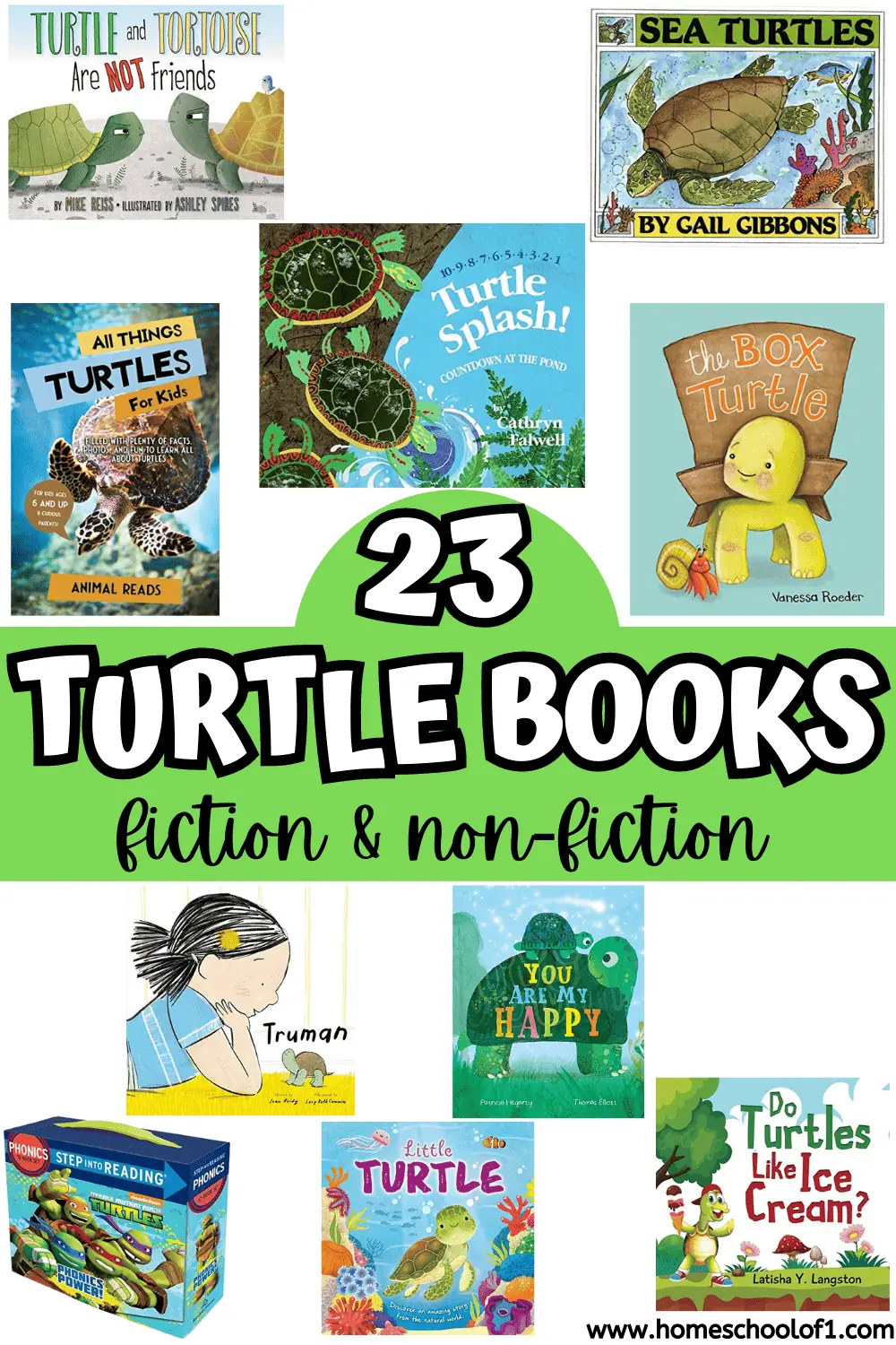 turtle books for preschoolers