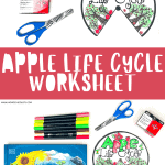 APPLE LIFE CYCLE WORKSHEET (2)