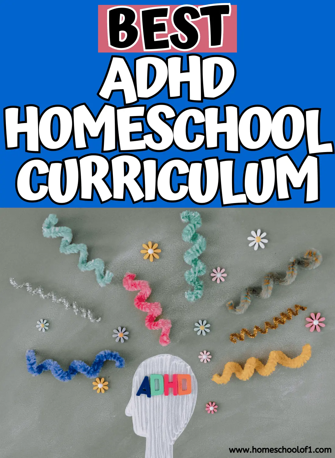 BEST ADHD CURRICULUM
