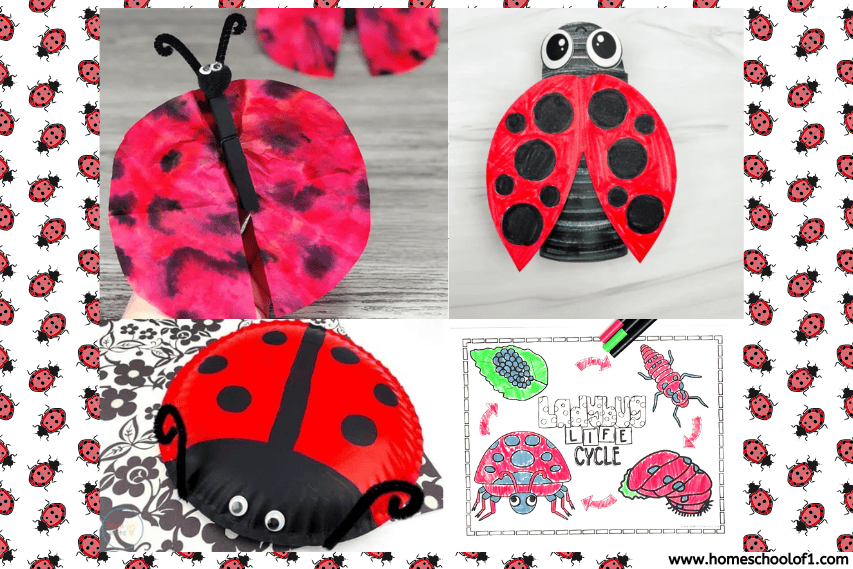 LADYBUG ACTIVITIES FOR PRESCHOOL