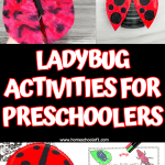 LADYBUG ACTIVITIES FOR PRESCHOOLERS