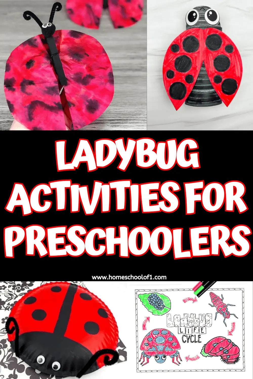 LADYBUG ACTIVITIES FOR PRESCHOOLERS