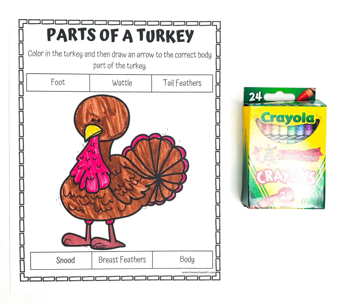 PARTS OF A TURKEY COLORING PAGE