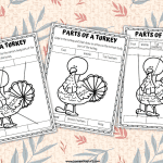 PARTS OF A TURKEY WORKSHEETS
